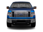 2010 Ford F-150 Platinum