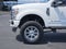 2022 Ford F-250 Platinum