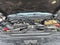 2017 Ford Super Duty F-350 SRW Platinum 4WD Crew Cab 6.75' Box