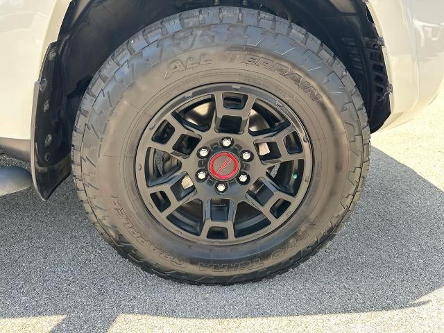 2024 Toyota 4Runner SR5 Premium 4WD (Natl)