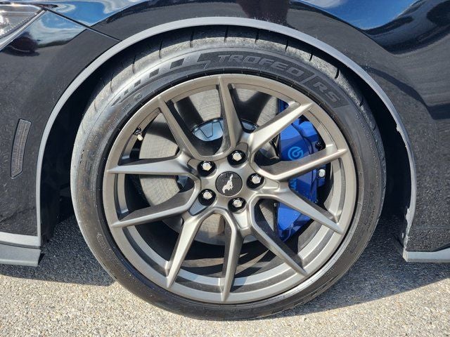 2025 Ford Mustang Dark Horse DARK HORSE HANDLING PACKAGE