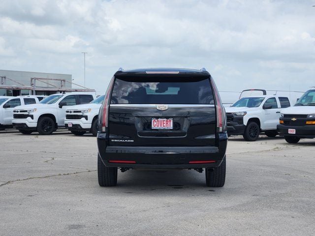 2020 Cadillac Escalade ESV Platinum Edition