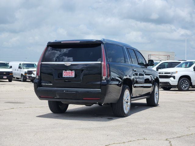 2020 Cadillac Escalade ESV Platinum Edition