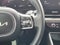 2025 Kia Carnival Hybrid SX